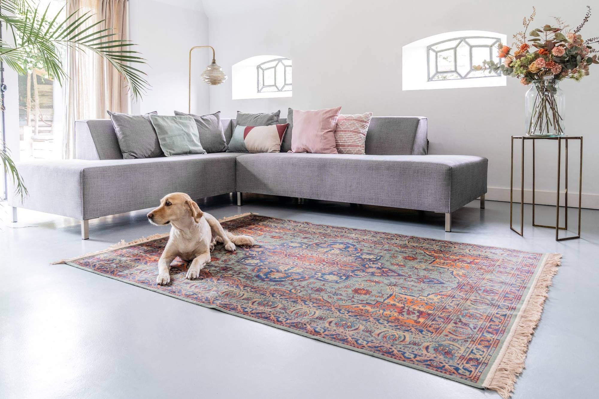 Huisdieren combineren met het interieur - Vloerkledenloods