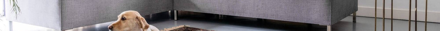 Huisdieren combineren met het interieur - Vloerkledenloods
