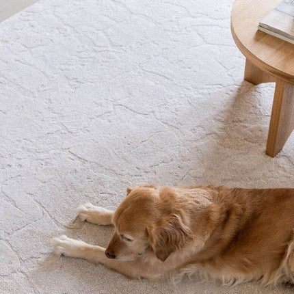 Vloerkleed Cairt Wit/Creme - Vloerkledenloods